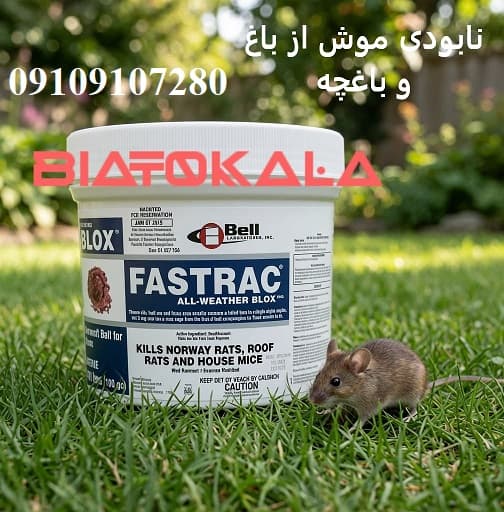 نابودی موش از باغو باغچه و حیاط